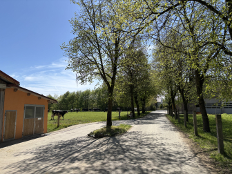 Hofzufahrt