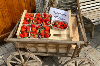 Hofladen-Franz-Angebote-frische-Erdbeeren